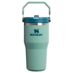 Personalized laser engraved Stanley 20oz IceFlow 2.0 Tumbler in Spring Green, custom name gift